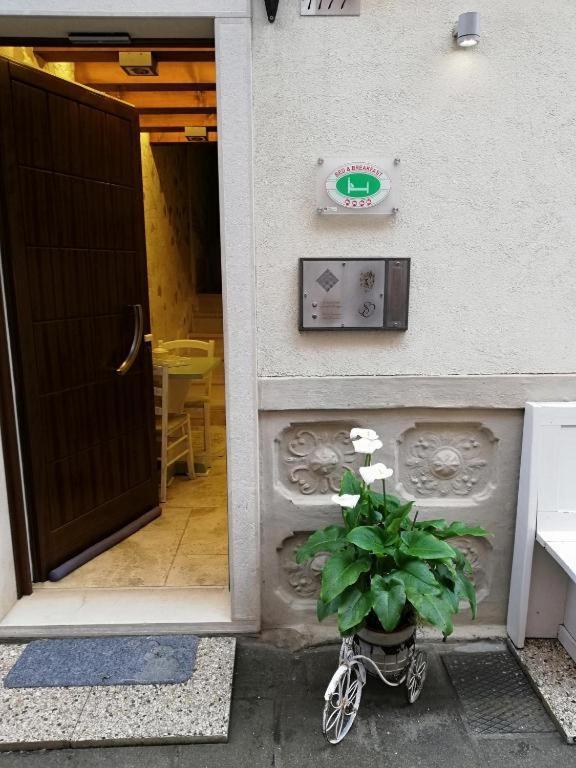 B & B San Domenico Κιότζα Εξωτερικό φωτογραφία